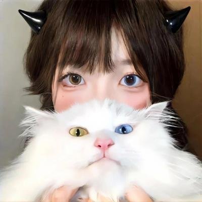 女贼金丝猫